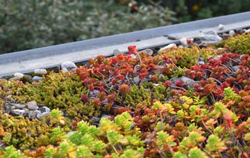 the cost of North Lees green roof installation